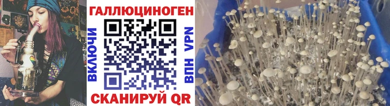 Псилоцибиновые грибы ЛСД  Купить где  Прокопьевск 